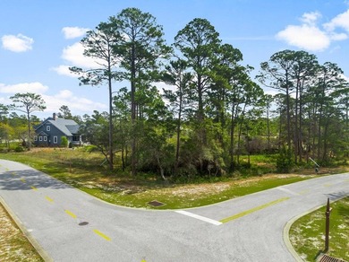 Best Priced Lot in Wild Heron! This prime location, situated - photo 13