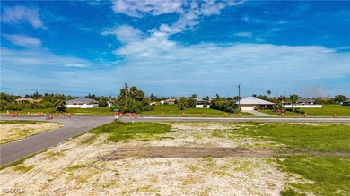 Oversized corner lot with multi-family zoning in one of Cape - photo 14
