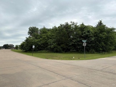 Beautiful 1.8 acre corner homesite in Shadow Lakes Community - photo 4