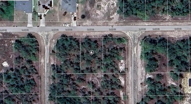 Lehigh Acres Area Lot For Sale in Lehigh Acres Florida