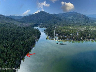 Seller is offering an incredible incentive by paying the annual - photo 2
