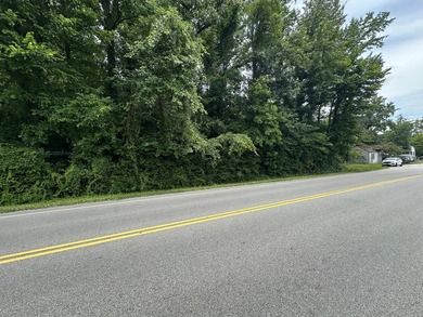 Wooded lot with 251 ft road frontage - photo 3