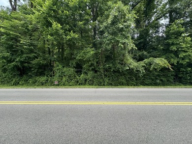 Wooded lot with 251 ft road frontage - photo 6