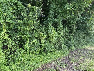 Wooded lot with 251 ft road frontage - photo 7