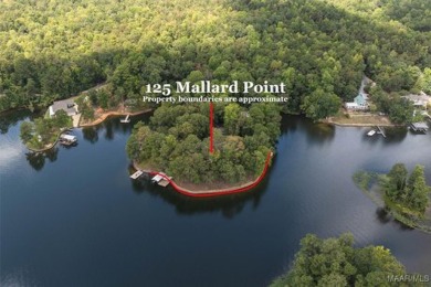 Lake Home Sale Pending in Titus, Alabama