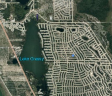 Lake Grassy Lot For Sale in Lake Placid Florida