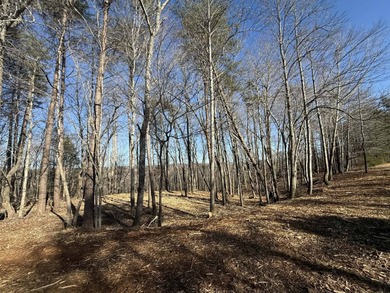 Additional listing photo 1