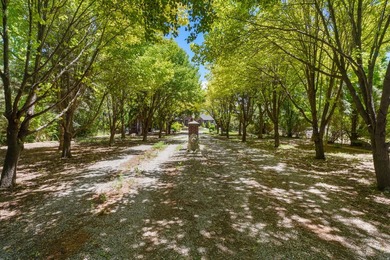 This STUNNING property boasts over 250 trees. When you come down - photo 2