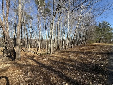 Additional listing photo 2