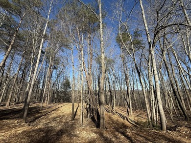 Additional listing photo 3