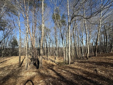Additional listing photo 4