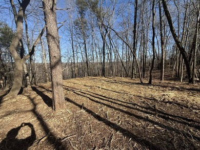 Discover your aviation dreams on this stunning 0.50+/- acre - photo 7