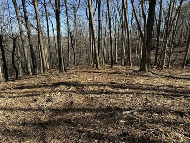 Discover your aviation dreams on this stunning 0.50+/- acre - photo 8