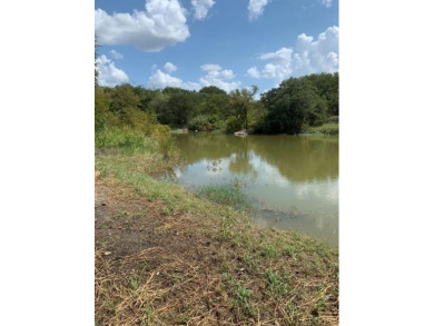 Lake Brownwood Lot For Sale in Brownwood Texas