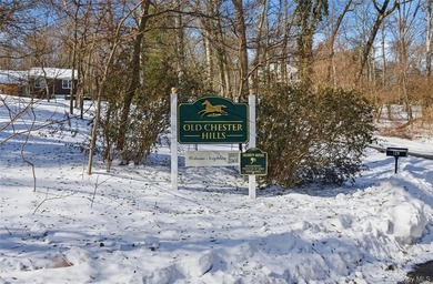 Rare opportunity in Old Chester Hills! Set on a flat, private 1 - photo 3