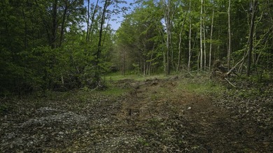 324+/- acres of recreational and hunting land located primarily - photo 2
