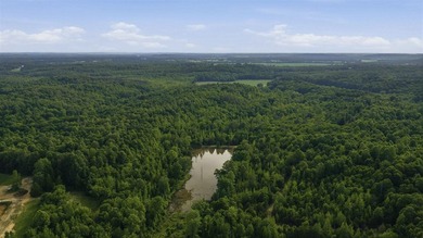 324+/- acres of recreational and hunting land located primarily - photo 3
