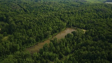 324+/- acres of recreational and hunting land located primarily - photo 4