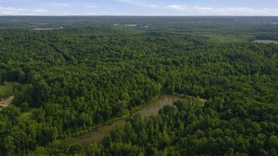 324+/- acres of recreational and hunting land located primarily - photo 5