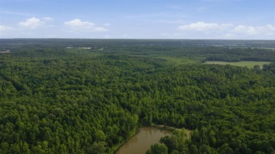 324+/- acres of recreational and hunting land located primarily - photo 6