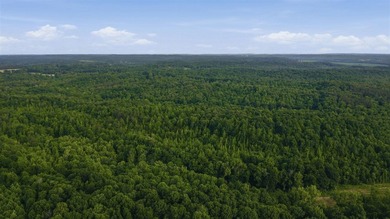 324+/- acres of recreational and hunting land located primarily - photo 7