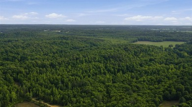 324+/- acres of recreational and hunting land located primarily - photo 8