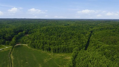 324+/- acres of recreational and hunting land located primarily - photo 9