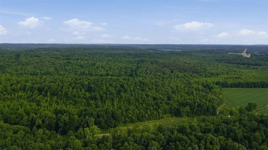 324+/- acres of recreational and hunting land located primarily - photo 10