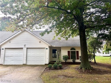 Lake Erie - Lake County Condo Sale Pending in Fairport Harbor Ohio