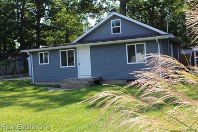 Strawberry Lake Home Sale Pending in Pinckney Michigan