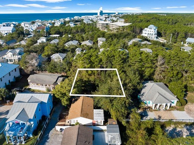 Eastern Lake Lot For Sale in Santa Rosa Beach Florida