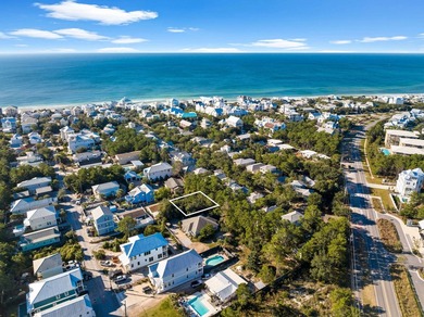 Nestled in the heart of Seagrove Beach, this vacant lot on Brown - photo 5