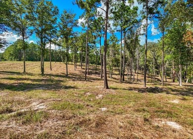 PRICE IMPROVEMENT!! Rayburn Ridge Subdivision! Waterview with - photo 11
