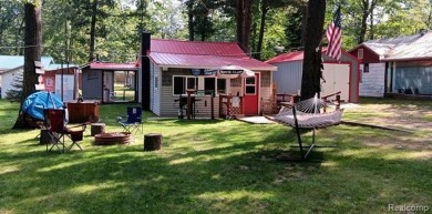 Lake Home For Sale in Gladwin, Michigan