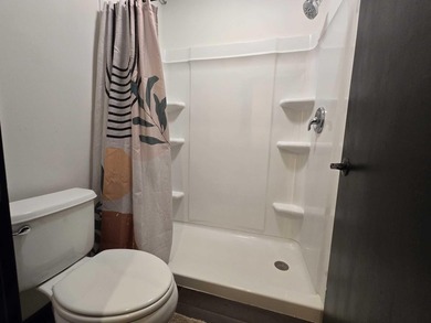 This beautifully updated 1-bedroom, 1-bath Quadna Mountain - photo 13