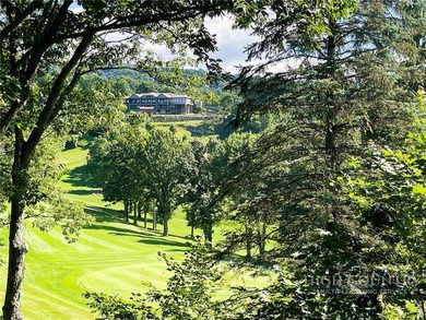 Welcome to Castle Hill - a truly one-of-a-kind mountain retreat - photo 4