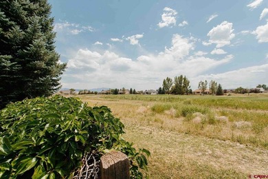 Welcome home to this beautifully updated ranch-style retreat in - photo 45