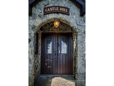 Welcome to Castle Hill - a truly one-of-a-kind mountain retreat - photo 6