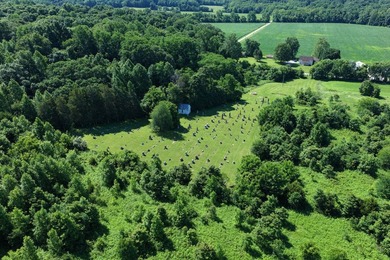 Located at 8891 E 390 S, Carbon, IN 47837, this exceptional - photo 8