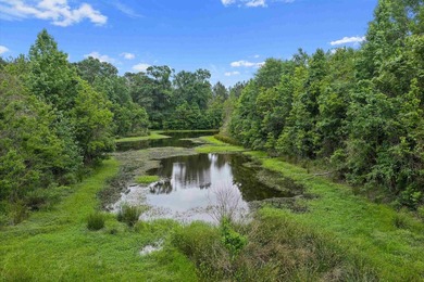 LAND! 64.27 unrestricted acres offering endless possibilities! - photo 5