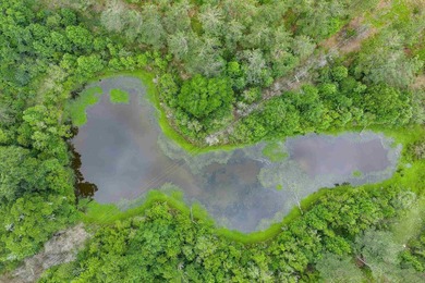 LAND! 64.27 unrestricted acres offering endless possibilities! - photo 6