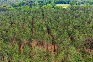 LAND! 64.27 unrestricted acres offering endless possibilities! - photo 7