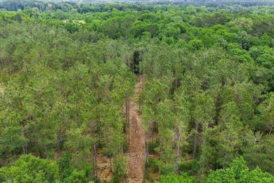 LAND! 64.27 unrestricted acres offering endless possibilities! - photo 9