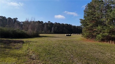 Welcome to this gorgeous open 18 acres surrounded by the - photo 11