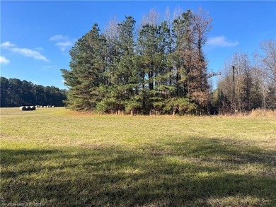 Welcome to this gorgeous open 18 acres surrounded by the - photo 12