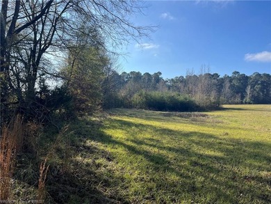 Welcome to this gorgeous open 18 acres surrounded by the - photo 13
