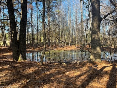 Welcome to this gorgeous open 18 acres surrounded by the - photo 17