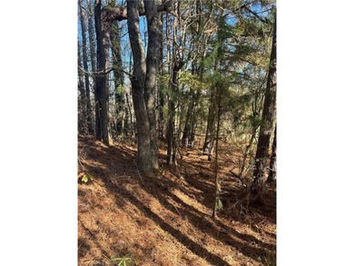 Welcome to this gorgeous open 18 acres surrounded by the - photo 18