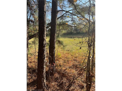 Welcome to this gorgeous open 18 acres surrounded by the - photo 22