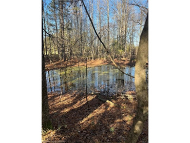 Welcome to this gorgeous open 18 acres surrounded by the - photo 23